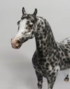 BLACK WALNUT-OOAK LEOPARD ARABIAN MODEL HORSE BY SHERYL LEISURE 5/25/18
