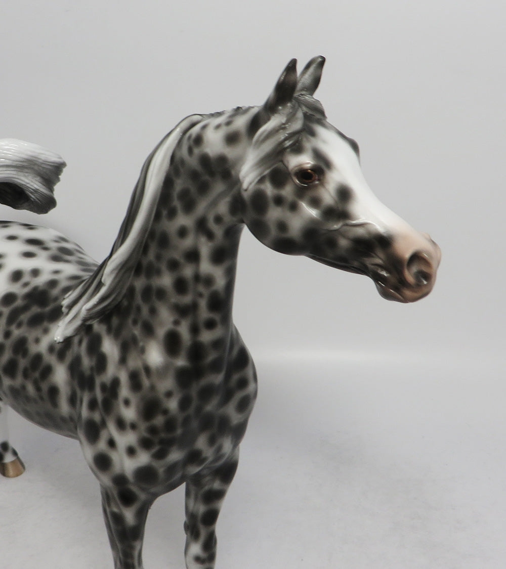 BLACK WALNUT-OOAK LEOPARD ARABIAN MODEL HORSE BY SHERYL LEISURE 5/25/18