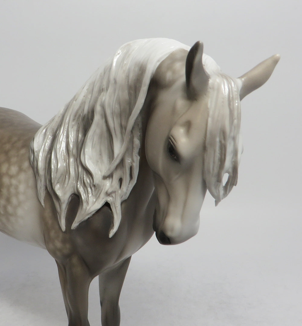 TIGER TAIL-OOAK STAR DAPPLE GREY ANDALUSIAN WITH PUDDLE TAIL BY SL 5/25/18