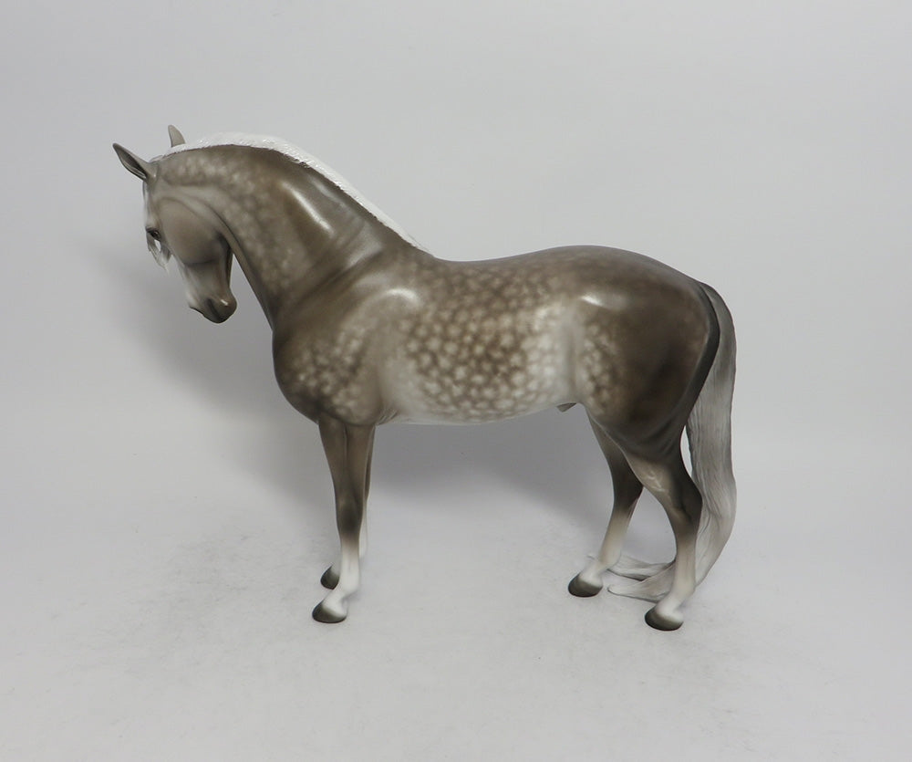 TIGER TAIL-OOAK STAR DAPPLE GREY ANDALUSIAN WITH PUDDLE TAIL BY SL 5/25/18