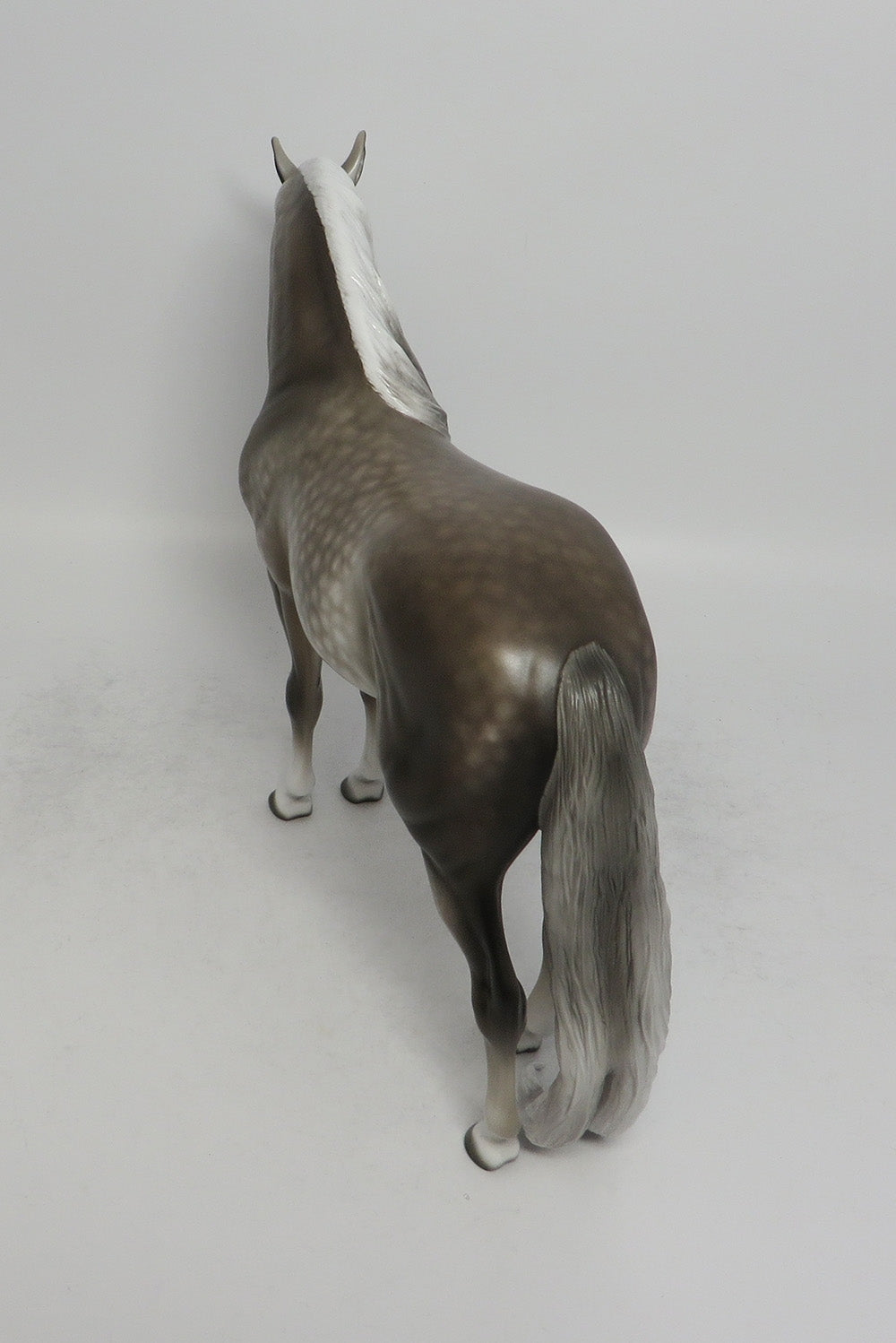 TIGER TAIL-OOAK STAR DAPPLE GREY ANDALUSIAN WITH PUDDLE TAIL BY SL 5/25/18