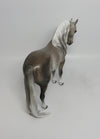 TIGER TAIL-OOAK STAR DAPPLE GREY ANDALUSIAN WITH PUDDLE TAIL BY SL 5/25/18