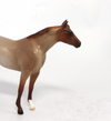 HOT SHOT-OOAK--CHESTNUT ROAN STOCK HORSE CHIP BY JULIE KEIM EA2019
