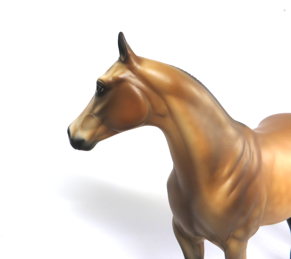 JASPER-  OOAK DAPPLED BUCKSKIN ISH BY JULIE KEIM EA19