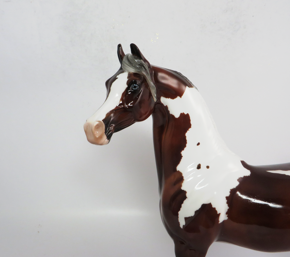 PAISLEY- OOAK DAPPLED BAY ARABIAN MARE BY JULIE KEIM EA19