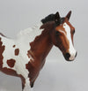 THANOS - LE4 DAPPLE BAY PINTO ISH MODEL HORSE 6/1/18