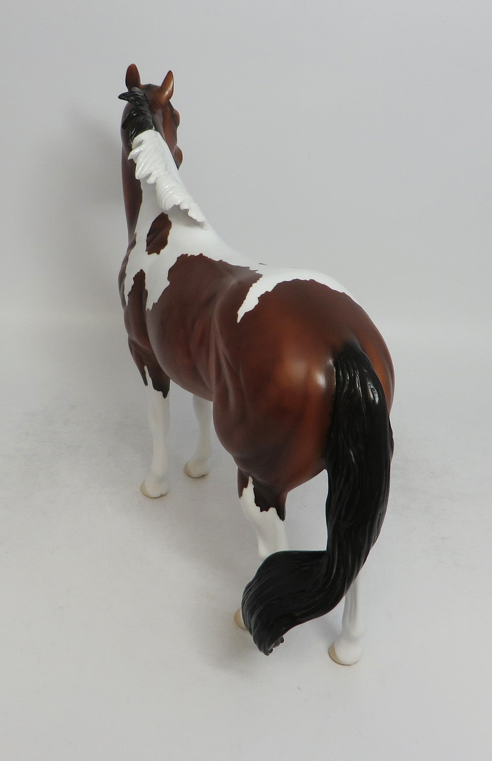 THANOS - LE4 DAPPLE BAY PINTO ISH MODEL HORSE 6/1/18