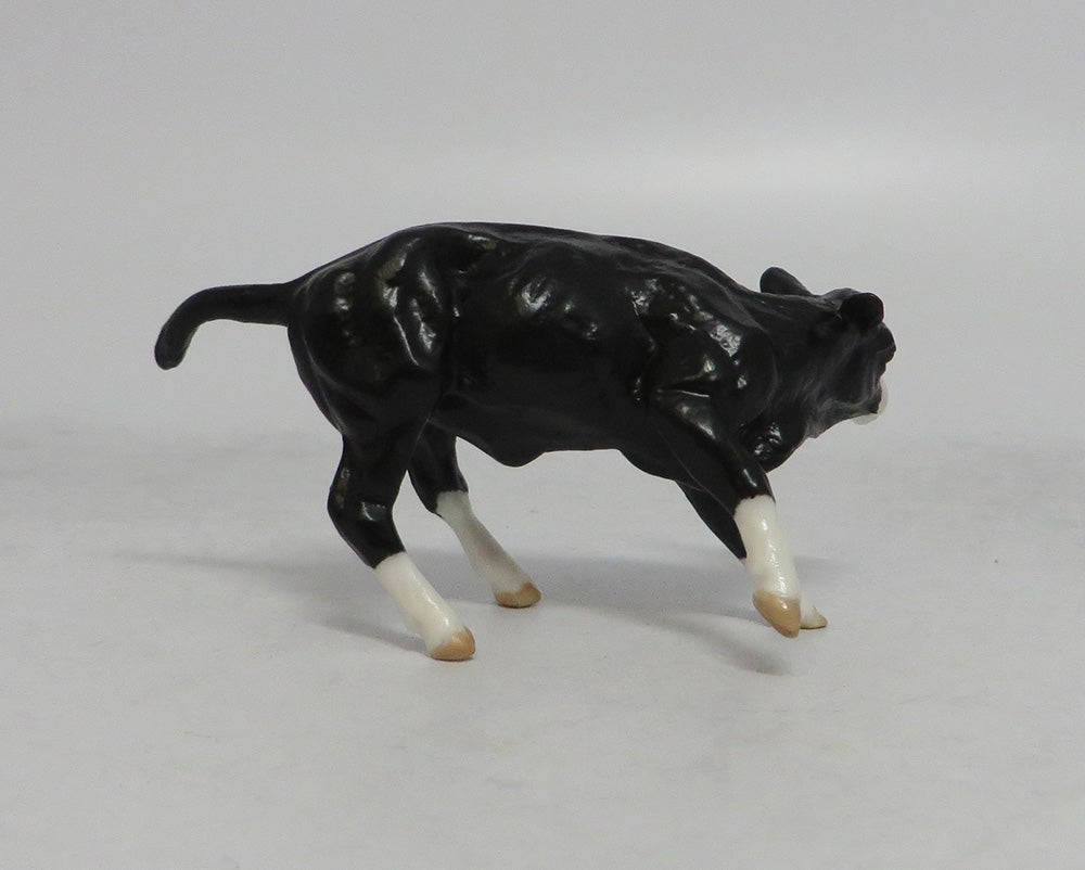 THANOS MINI &amp; INFINITY - LE4 BAY PINTO CUTTER AND CALF CHIP 6/1/18