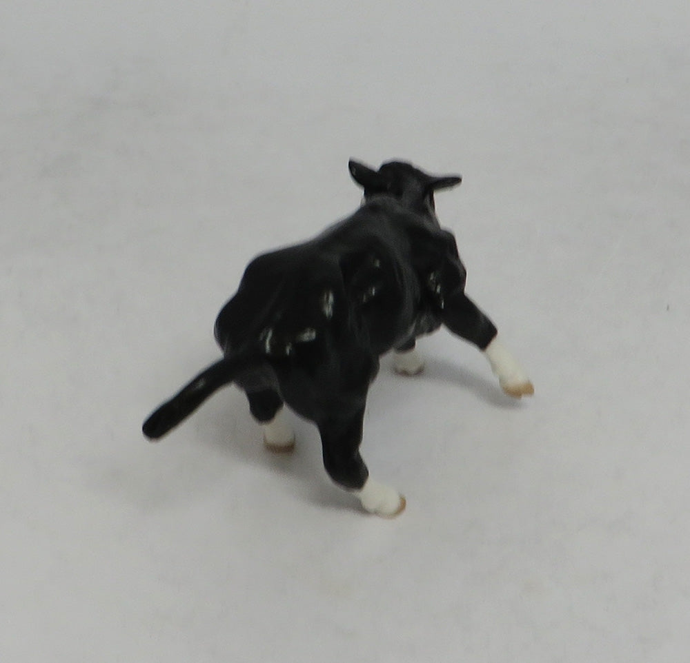 THANOS MINI &amp; INFINITY - LE4 BAY PINTO CUTTER AND CALF CHIP 6/1/18