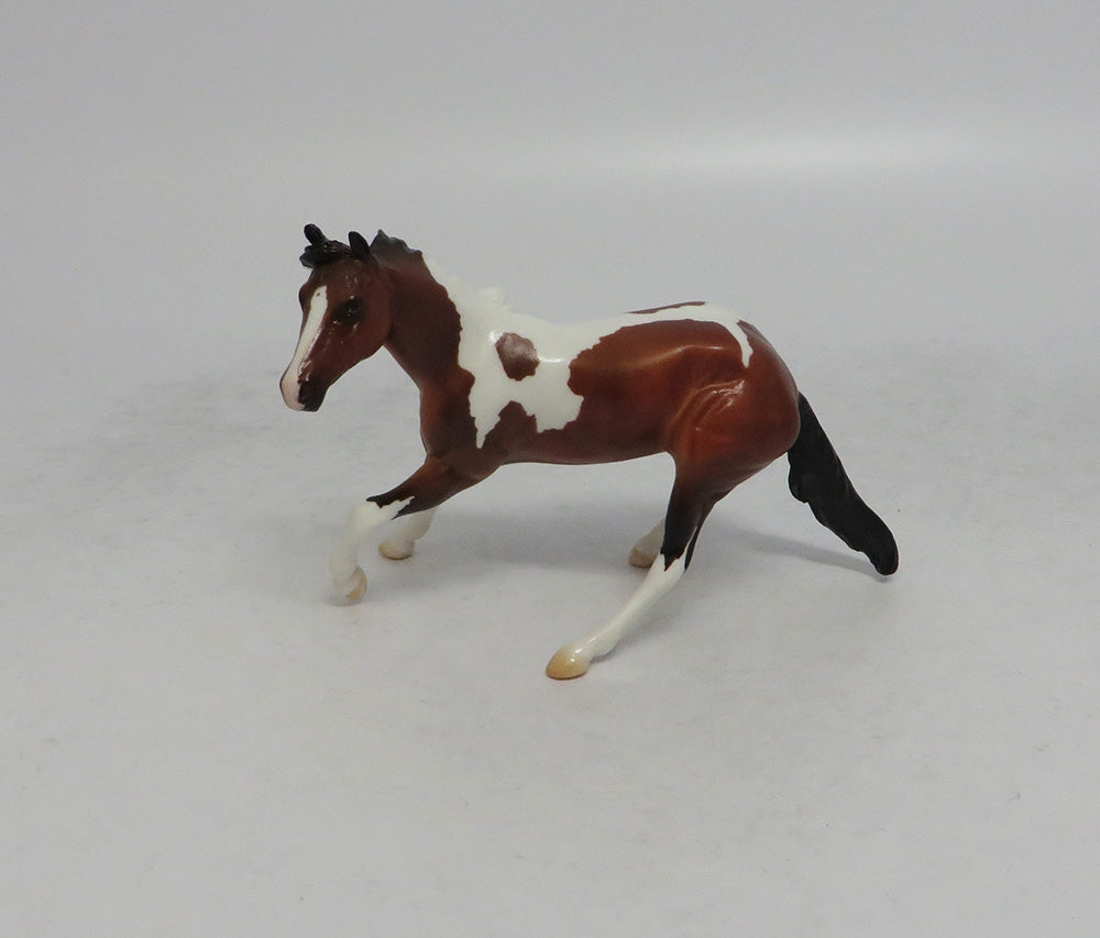 THANOS MINI &amp; INFINITY - LE4 BAY PINTO CUTTER AND CALF CHIP 6/1/18