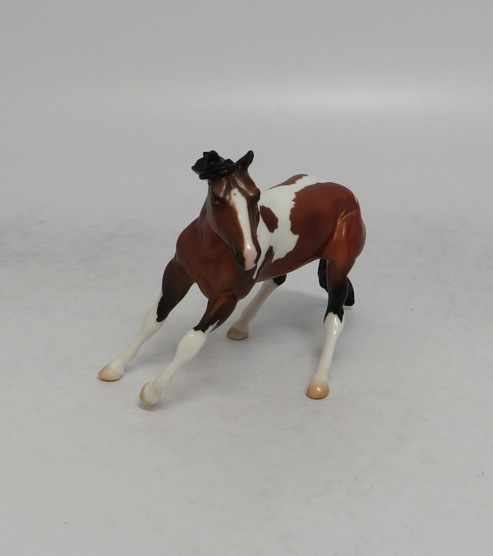 THANOS MINI &amp; INFINITY - LE4 BAY PINTO CUTTER AND CALF CHIP 6/1/18