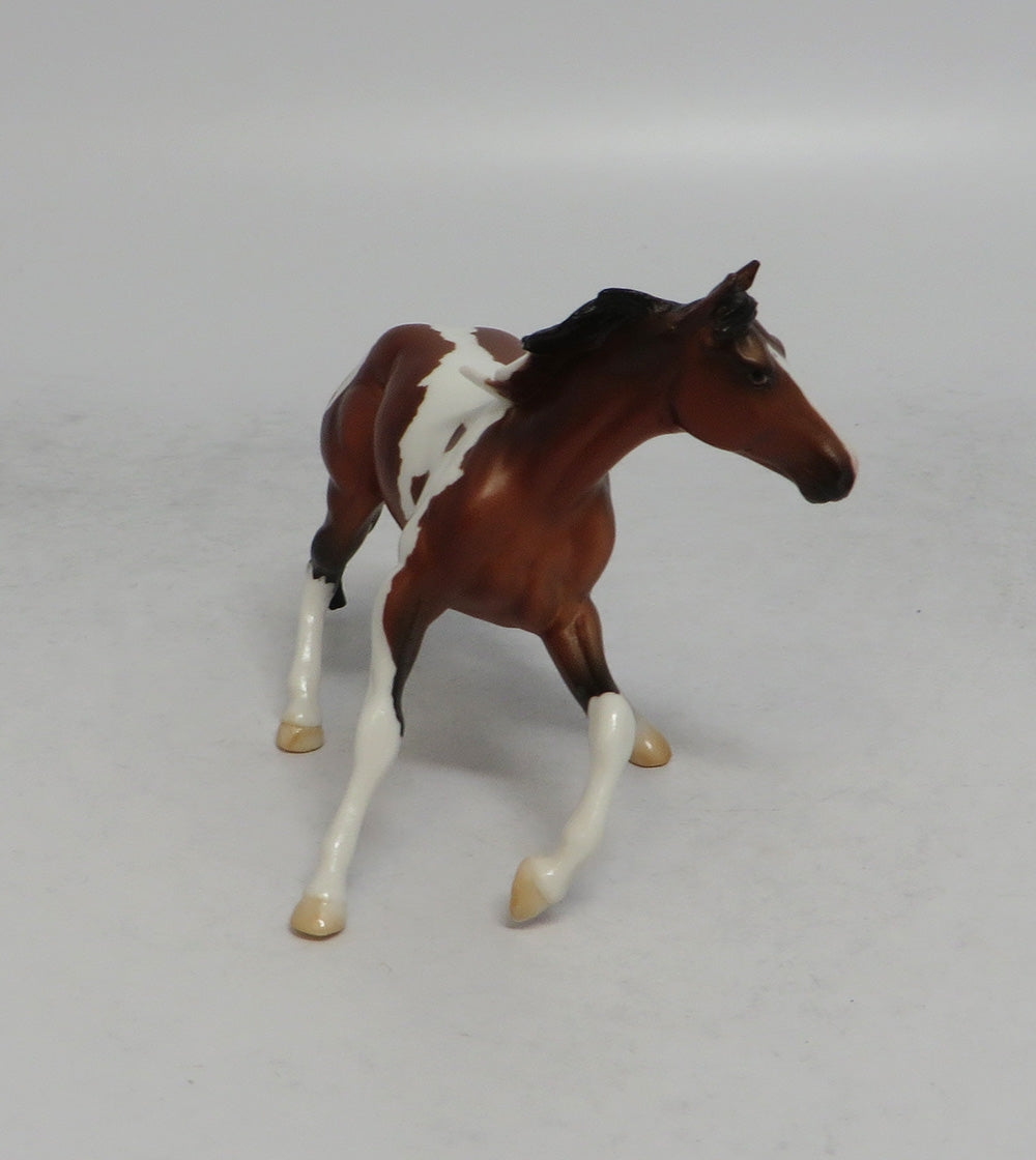 THANOS MINI &amp; INFINITY - LE4 BAY PINTO CUTTER AND CALF CHIP 6/1/18