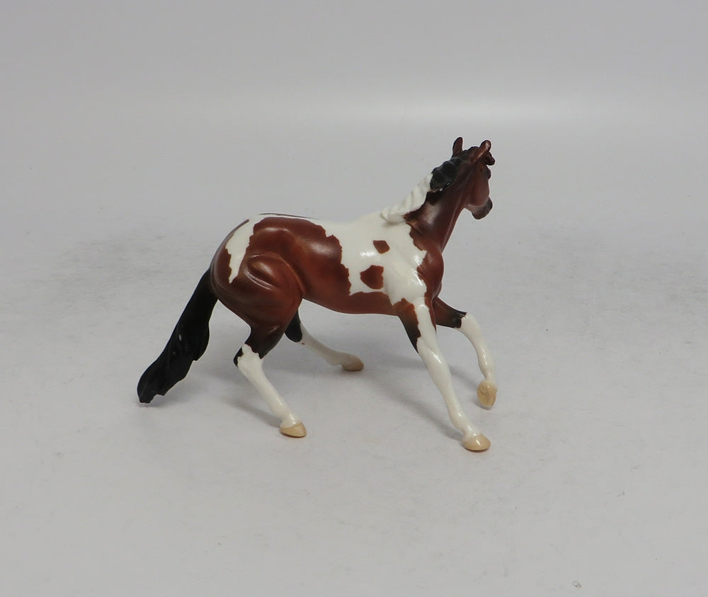 THANOS MINI &amp; INFINITY - LE4 BAY PINTO CUTTER AND CALF CHIP 6/1/18