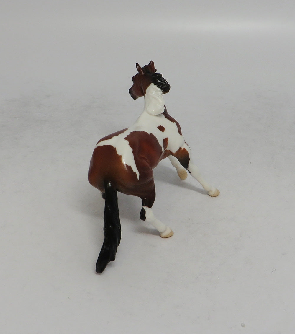 THANOS MINI &amp; INFINITY - LE4 BAY PINTO CUTTER AND CALF CHIP 6/1/18