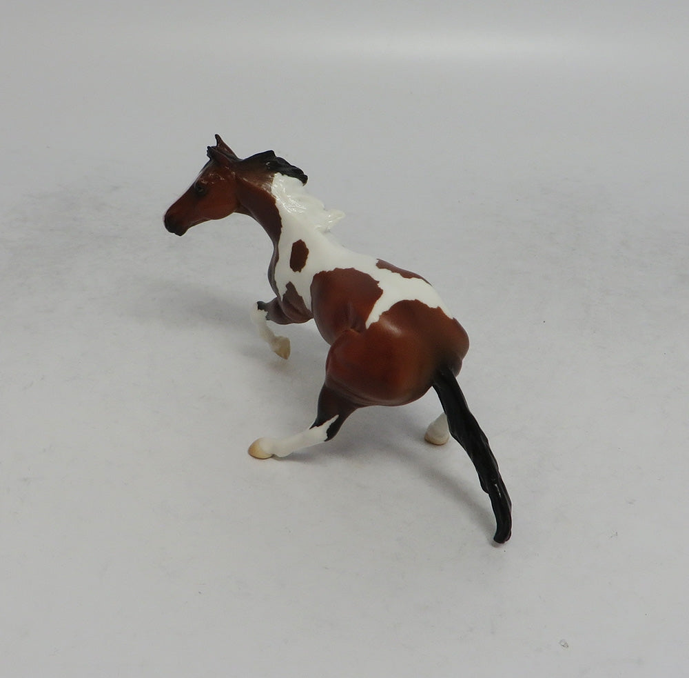 THANOS MINI &amp; INFINITY - LE4 BAY PINTO CUTTER AND CALF CHIP 6/1/18