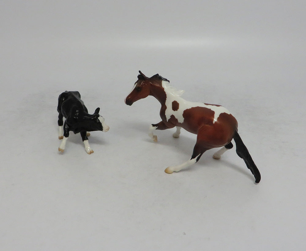 THANOS MINI & INFINITY - LE4 BAY PINTO CUTTER AND CALF CHIP 6/1/18