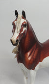 GAVIN-OOAK DAPPLE CHESTNUT SPLASH MORGAN MODEL HORSE 6/1/18