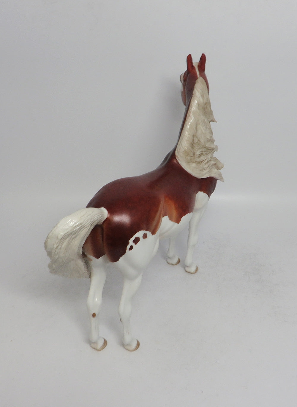 GAVIN-OOAK DAPPLE CHESTNUT SPLASH MORGAN MODEL HORSE 6/1/18