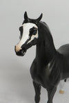 MARAUDER-OOAK DAPPLE BLACK ARABIAN MODEL HORSE BY DAWN QUICK 5/31/18