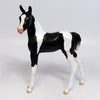 TEENY-LE-30 BLACK AND WHITE PINTO FOAL EQ 2018