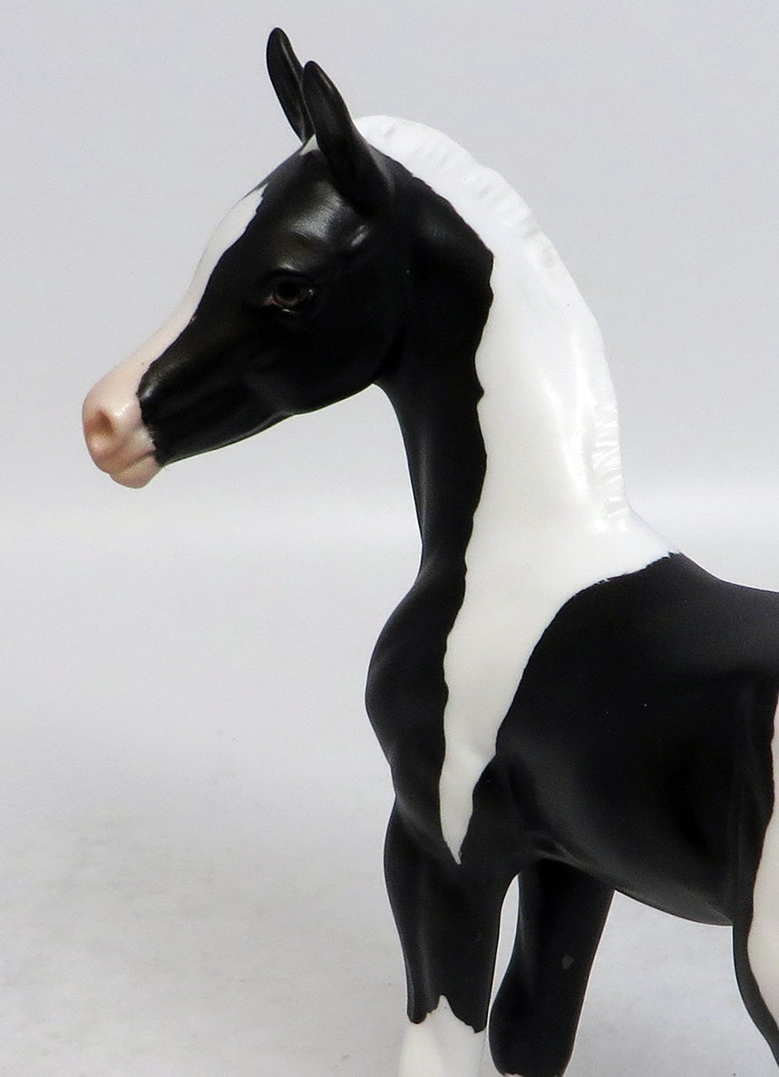 TEENY-LE-30 BLACK AND WHITE PINTO FOAL EQ 2018