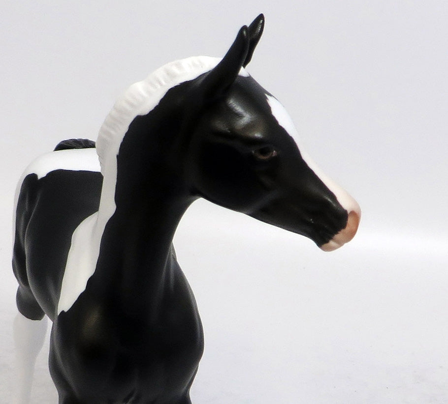 TEENY-LE-30 BLACK AND WHITE PINTO FOAL EQ 2018