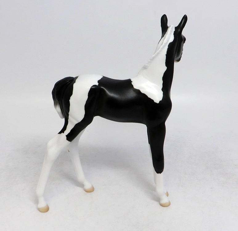 TEENY-LE-30 BLACK AND WHITE PINTO FOAL EQ 2018