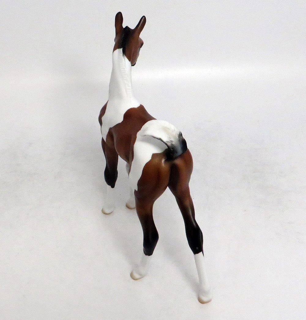 FRIDAY-LE-20 BAY PINTO FOAL WITH FLAGGED TAIL EQ 2018