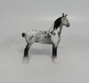 DREAMS -- OOAK BLACK PINTALOOSA DRAFT CHIP EQ2018