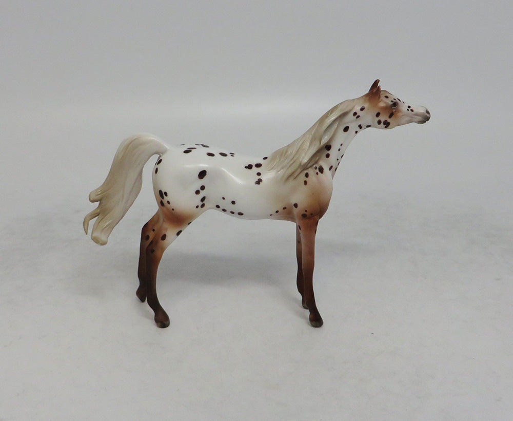 ALWAYS A GENTLEMEN-OOAK LOUD LEOPARD ARABIAN CHIP MODEL HORSE 6/1/18