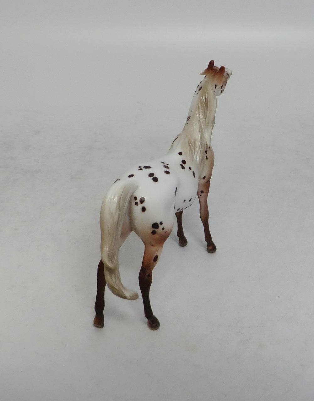 ALWAYS A GENTLEMEN-OOAK LOUD LEOPARD ARABIAN CHIP MODEL HORSE 6/1/18