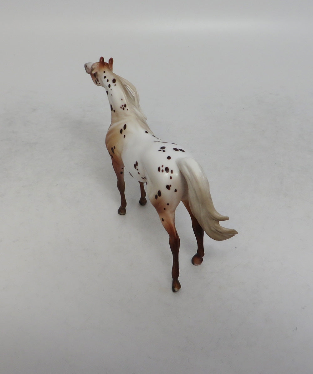 ALWAYS A GENTLEMEN-OOAK LOUD LEOPARD ARABIAN CHIP MODEL HORSE 6/1/18