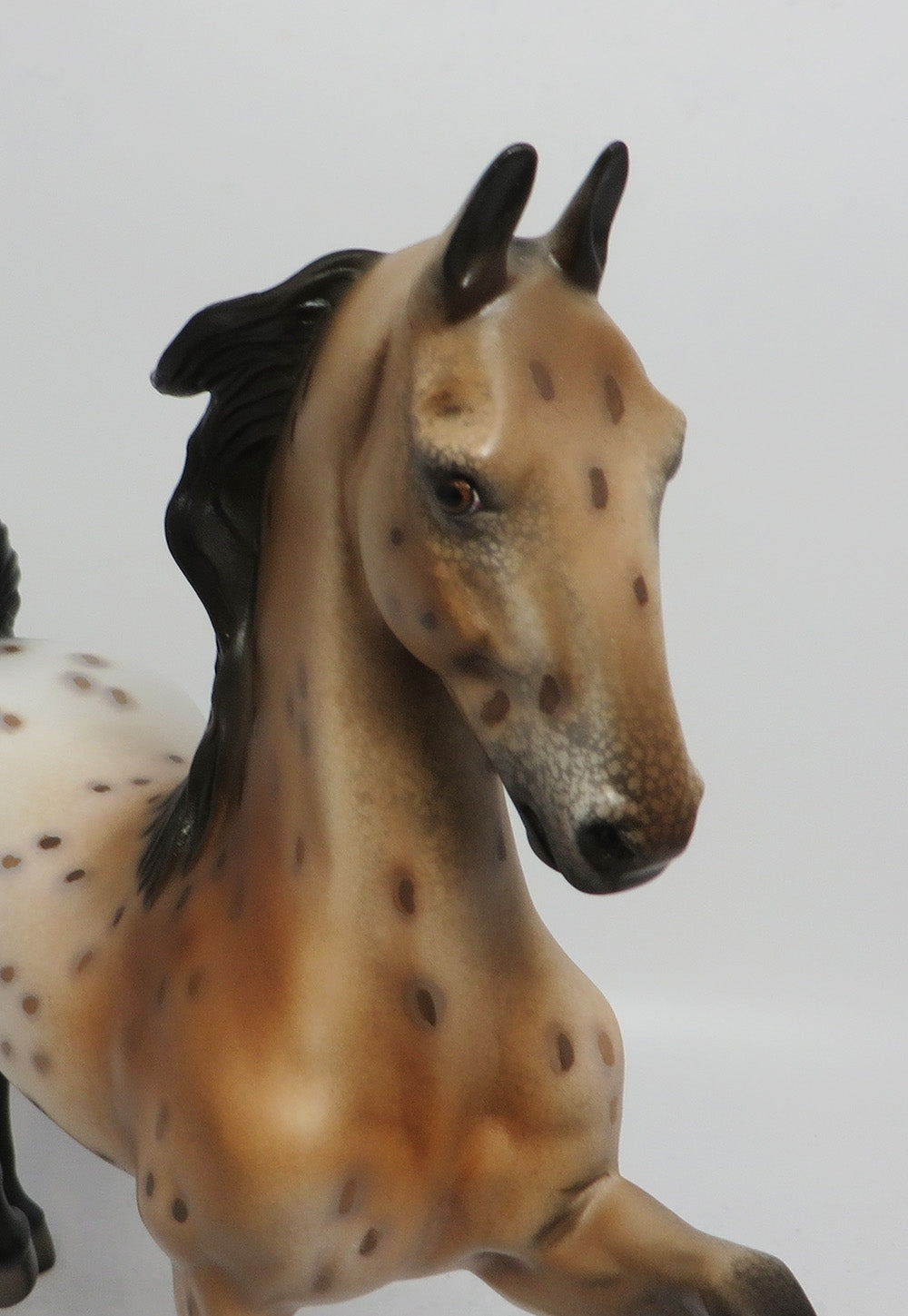 ON BROADWAY-OOAK BUCKSKIN SADDLEBRED MODEL HORSE BY DAWN QUICK 6/1/18
