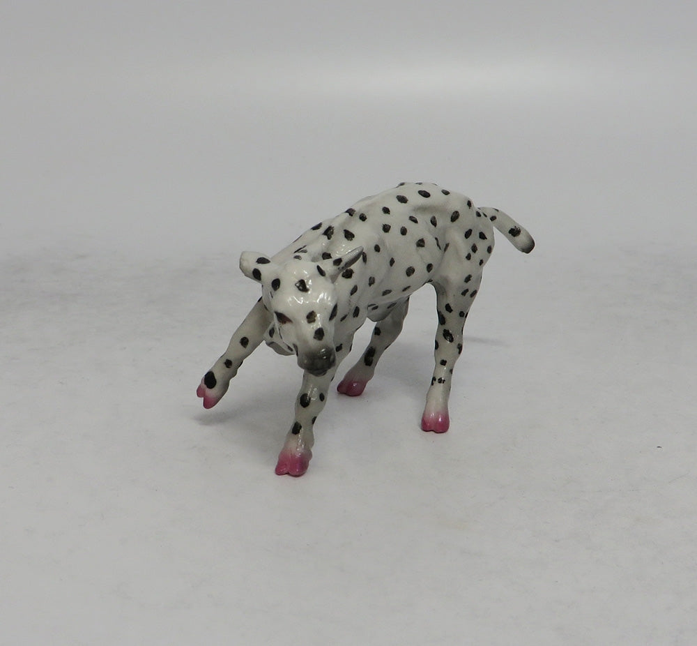 PINKY AND TUSCADERO-PINK PINTO CUTTER WITH BLACK OR WHITE POKA DOT CALF 6.1.18