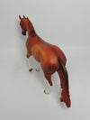 SCORPION-OOAK RED DUN THOROUGHBRED MODEL HORSE BY EMMA JEZEK 6/6/18
