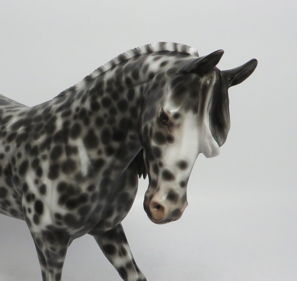 TIN ROOF-OOAK APPALOOSA THOROUGHBRED MODEL HORSE 6/5/18