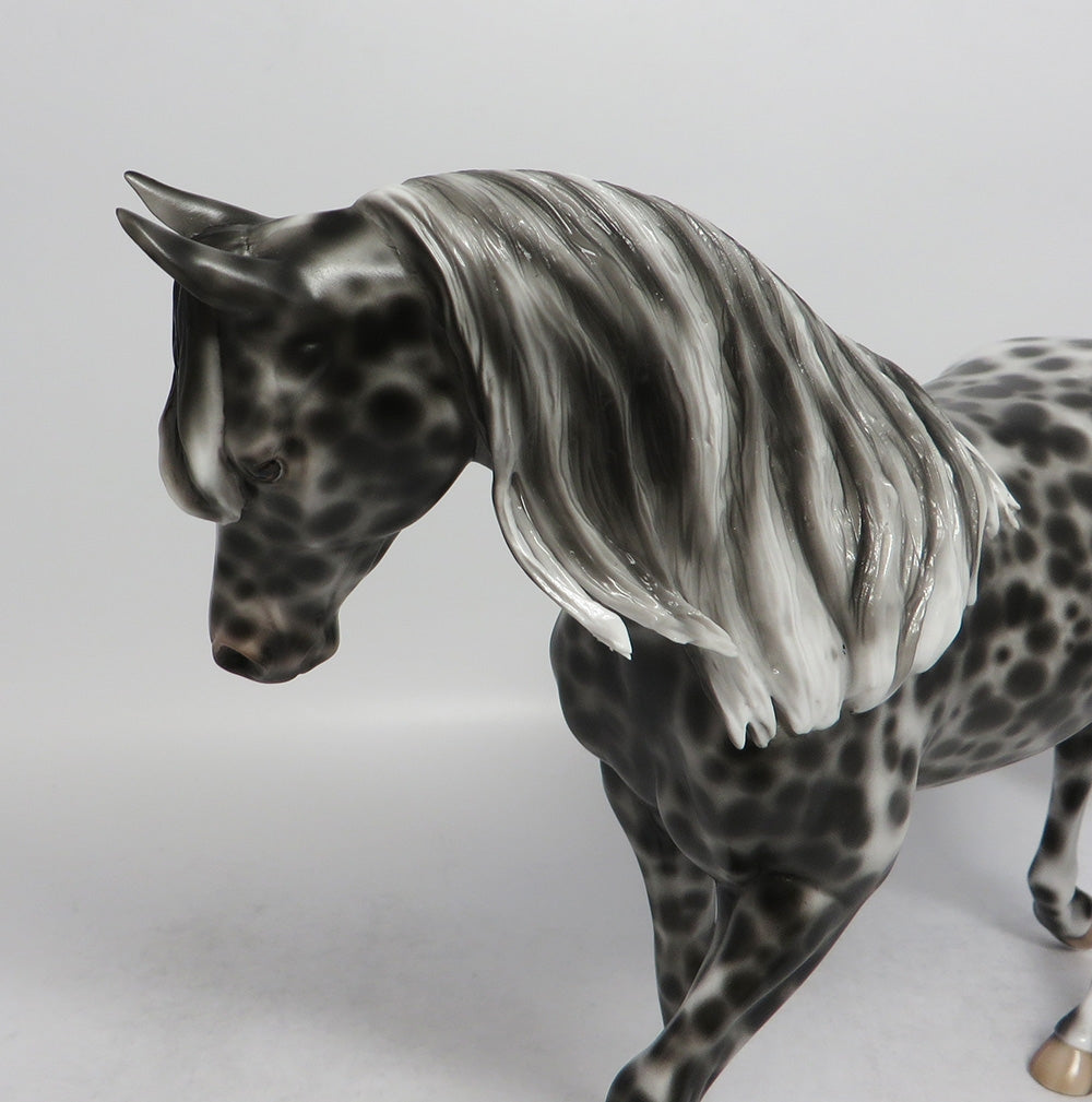 TIN ROOF-OOAK APPALOOSA THOROUGHBRED MODEL HORSE 6/5/18