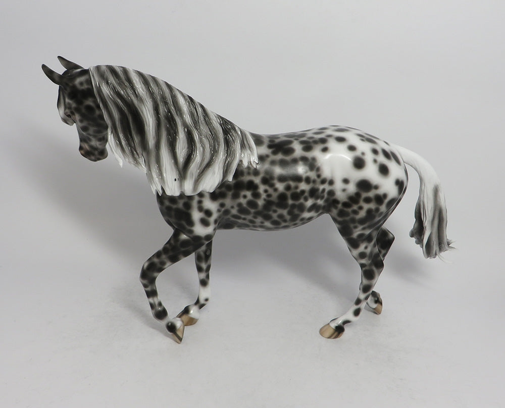 Appaloosa