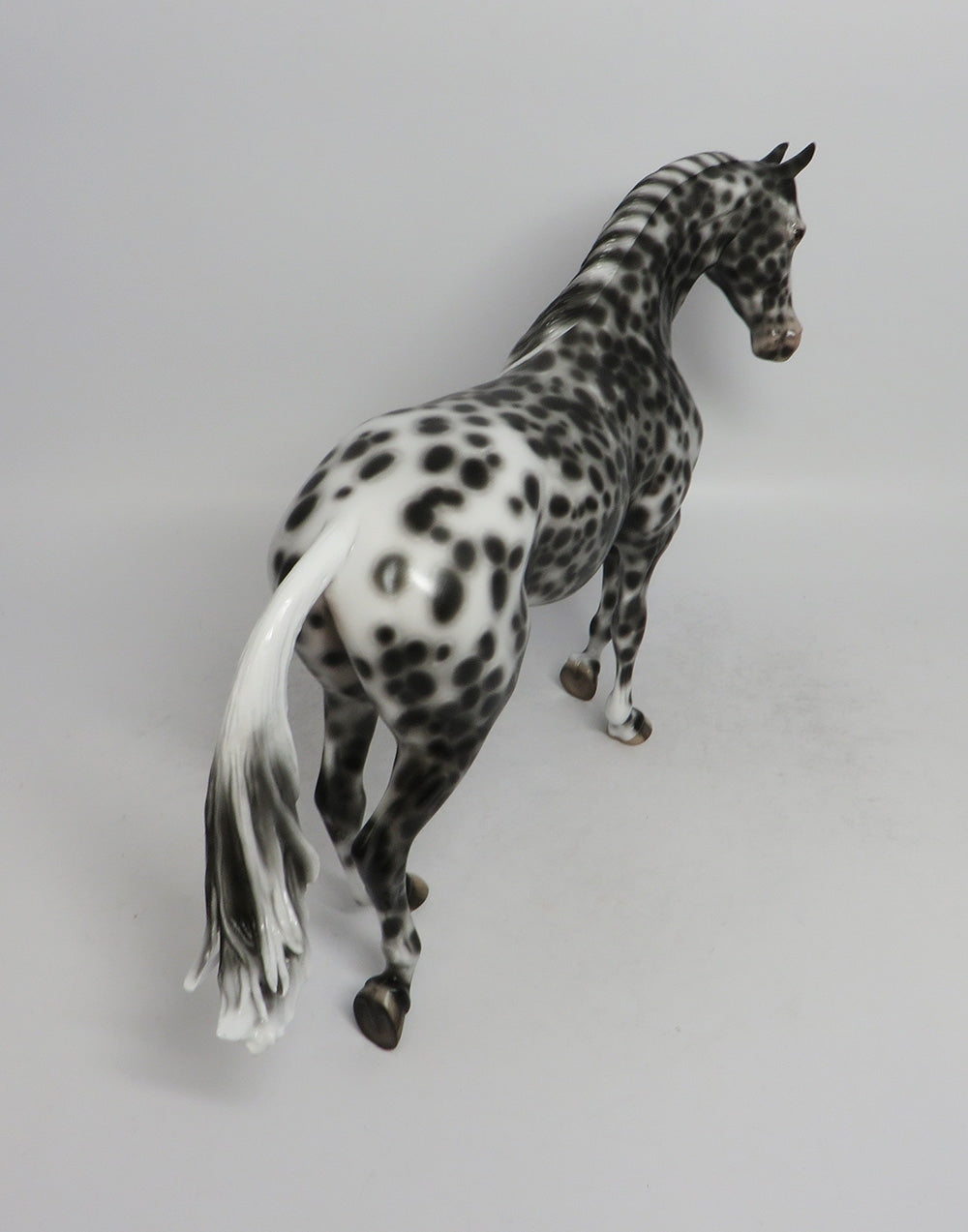 TIN ROOF-OOAK APPALOOSA THOROUGHBRED MODEL HORSE 6/5/18