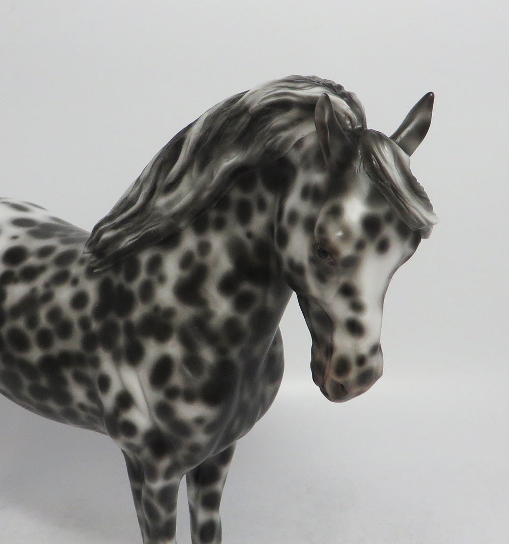 FAR BRETON-OOAK LOUD APPALOOSA ANDALUSIAN MODEL HORSE EQ 2018