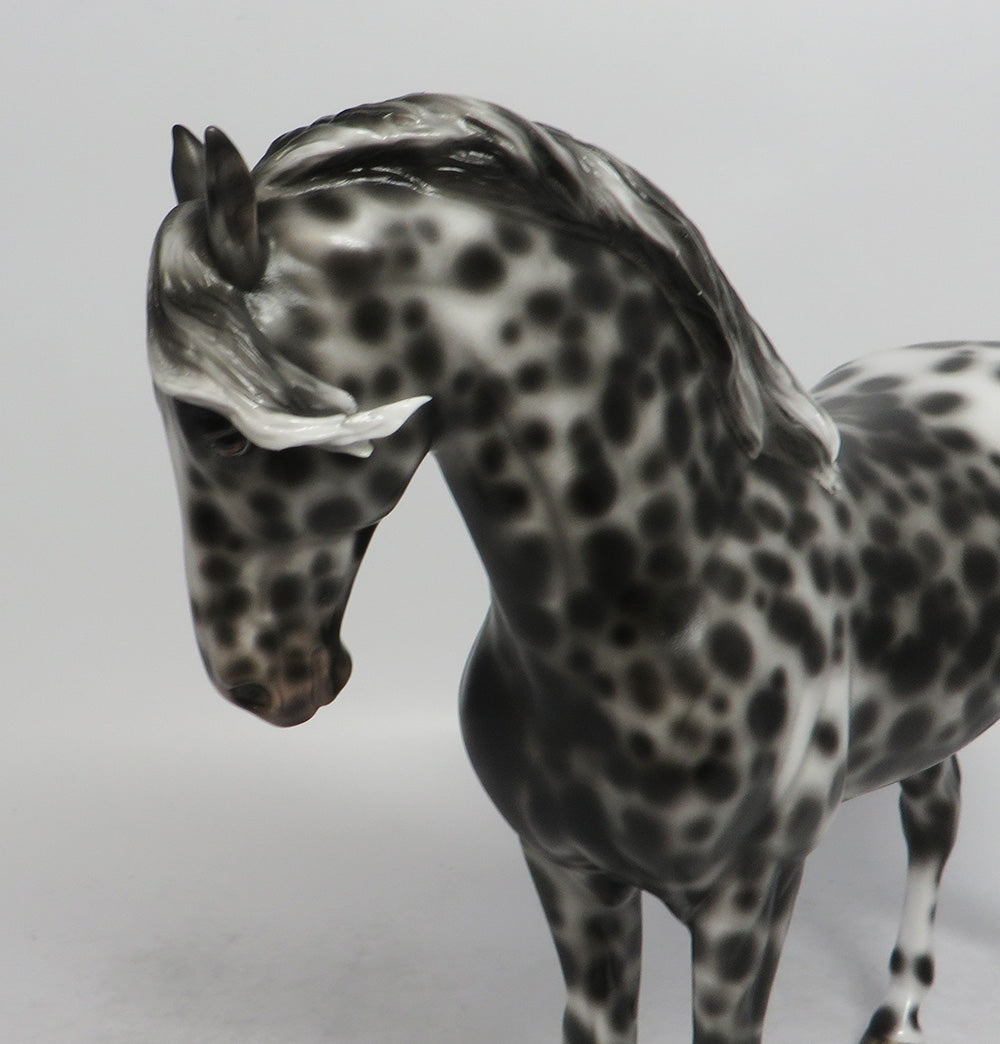 FAR BRETON-OOAK LOUD APPALOOSA ANDALUSIAN MODEL HORSE EQ 2018