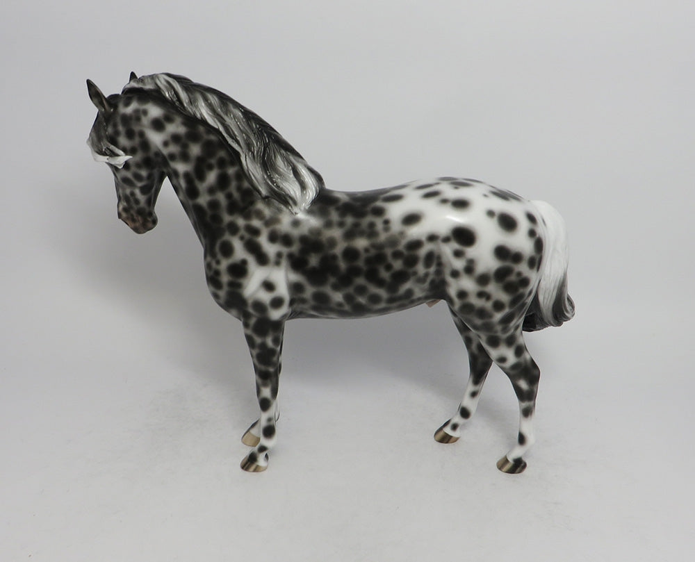 FAR BRETON-OOAK LOUD APPALOOSA ANDALUSIAN MODEL HORSE EQ 2018