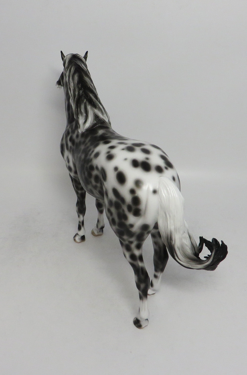 FAR BRETON-OOAK LOUD APPALOOSA ANDALUSIAN MODEL HORSE EQ 2018