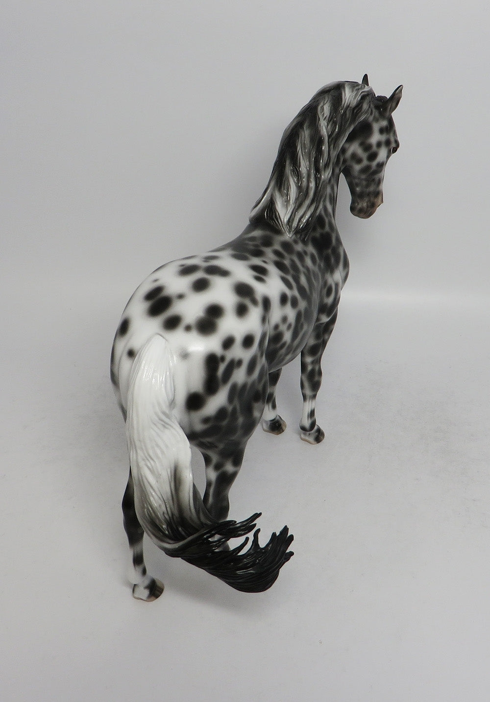 FAR BRETON-OOAK LOUD APPALOOSA ANDALUSIAN MODEL HORSE EQ 2018