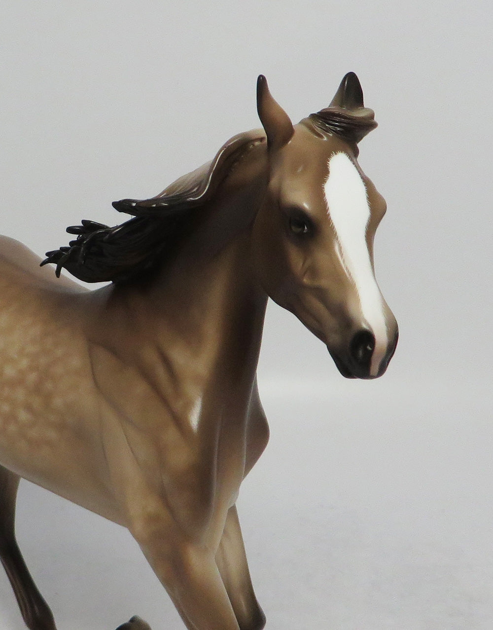 CREPES SUZETTE-OOAK BUCKSKIN DUN MODEL HORSE BY SHERYL LEISURE 6/5/18