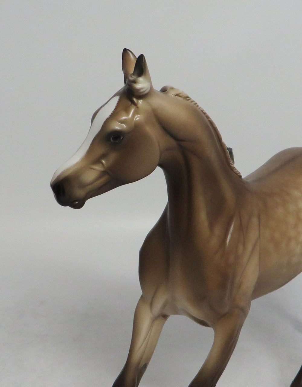 CREPES SUZETTE-OOAK BUCKSKIN DUN MODEL HORSE BY SHERYL LEISURE 6/5/18