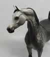 MONT BLANC-OOAK STAR DAPPLE GREY ARABIAN MODEL HORSE BY SHERYL LEISURE 6/5/18