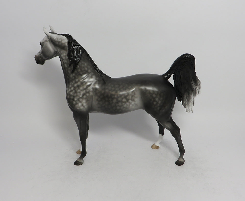 MONT BLANC-OOAK STAR DAPPLE GREY ARABIAN MODEL HORSE BY SHERYL LEISURE 6/5/18