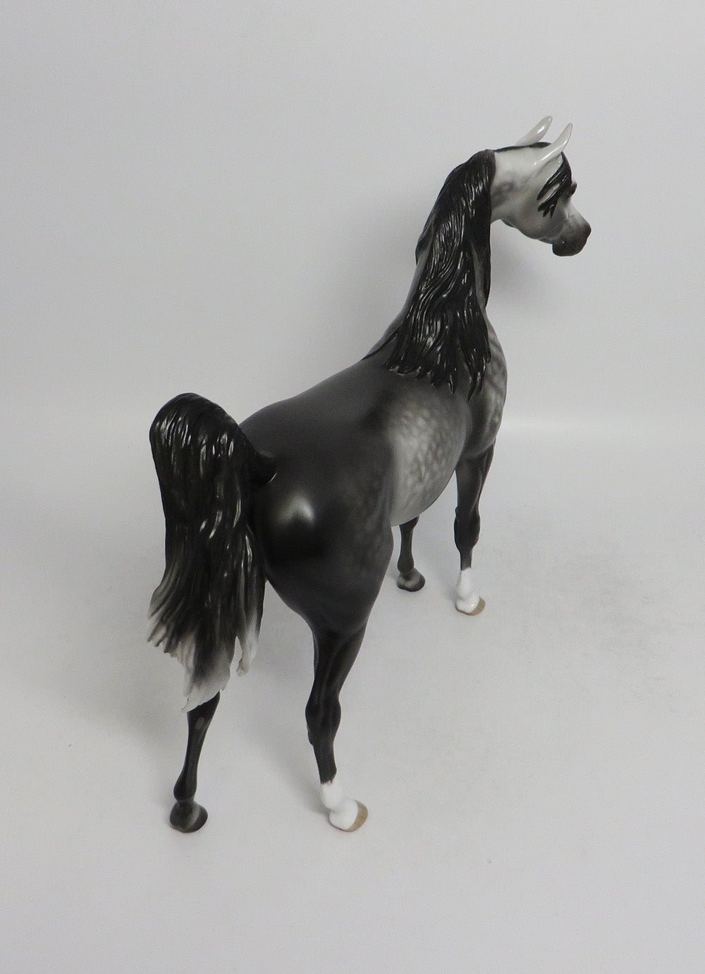 MONT BLANC-OOAK STAR DAPPLE GREY ARABIAN MODEL HORSE BY SHERYL LEISURE 6/5/18