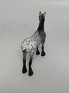 SKITTLES-OOAK LOUD APPALOOSA STANDING DRAFT MODEL HORSE 6/22/18 EQ 2018